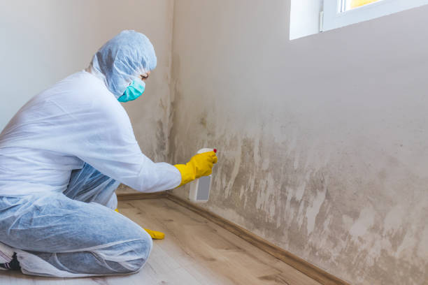 Licensed Bathroom Mold Removal service in Springfield, PA - WQB Mold Removal