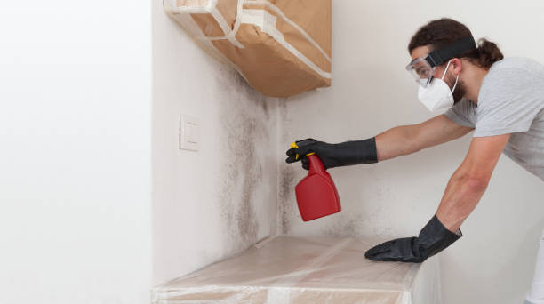 Professional Bathroom Mold Removal technician working in Springfield, PA