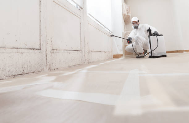 24/7 Emergency Bathroom Mold Removal experts in Springfield, PA