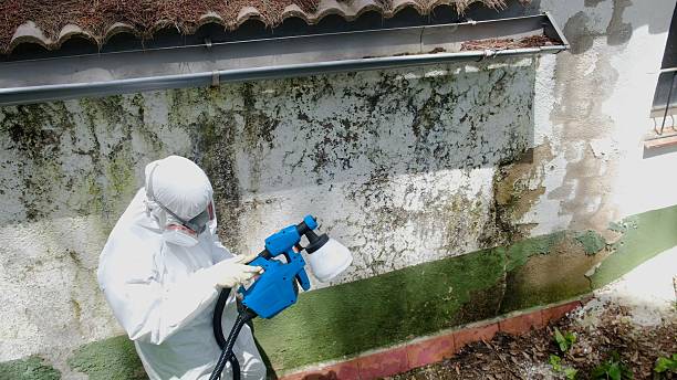 Top rated local Bathroom Mold Removal specialists in Springfield, PA